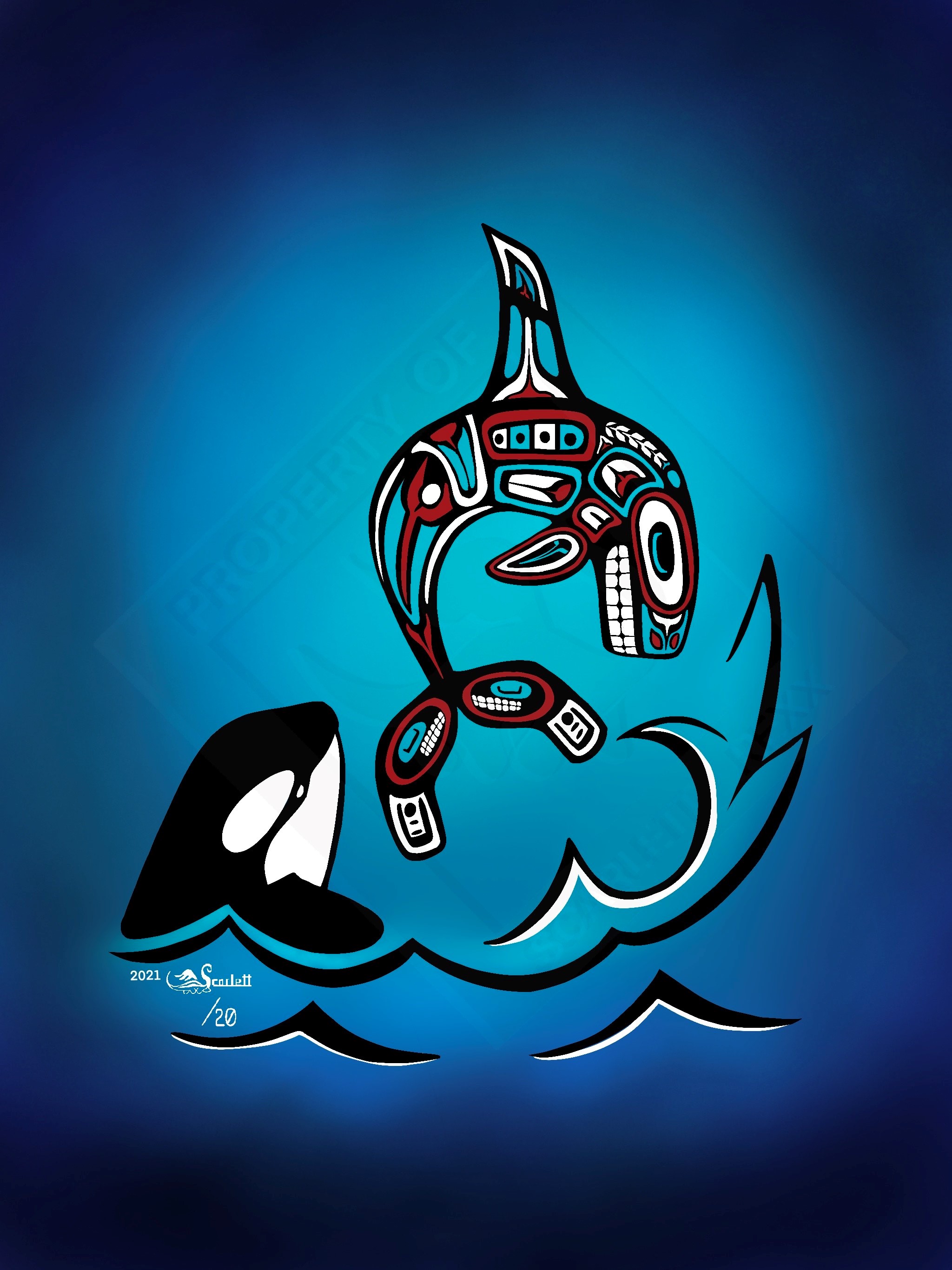 west coast style orca whale